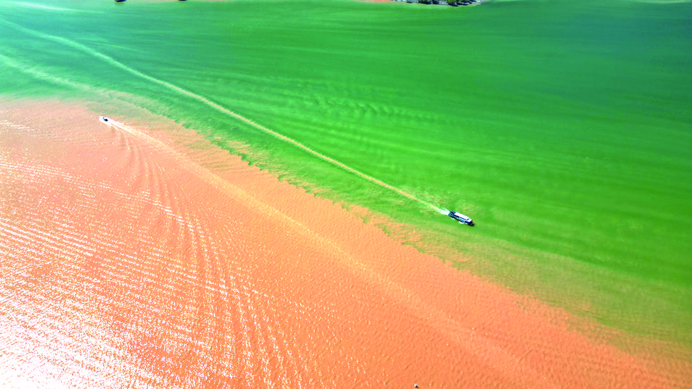 b15b315f-7230-47f1-85a2-ea9d94121743.tif.jpg